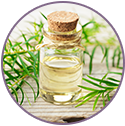 Tea Tree Essential Oil