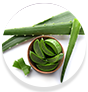 WOW Skin Science Amazon Rainforest Mineral Face Wash