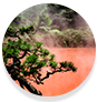 WOW Skin Science Amazon Rainforest Mineral Face Wash with Red Volcanic Clay