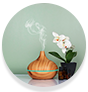 WOW Skin Science Basil Essential Oil with Matte finish
