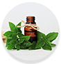 WOW Skin Science Bergamot Essential Oil Helps you destress
