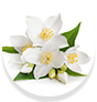 WOW Skin Science Cedarwood Essential Oil Helps calm the mind