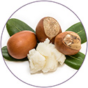 Coconut Oil