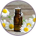 Chamomile Essential Oil