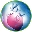 WOW Life Science Milk Thistle Supplement Helps to Regulate Excess Cholesterol