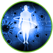 WOW Life Science Milk Thistle Supplement Boost Immune System