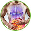 WOW Life Science Probiotic Offers Increased Nutrient Absorption