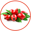 Rosehip Oil