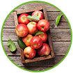 WOW Life Science Organic Apple Cider Vinegar