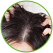WOW Skin Science Moroccan Argan Hair Oil Made with 100% pure cold pressed oils
