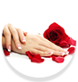 WOW Skin Science Hand Cream Keeps hands looking younger
