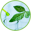 WOW Skin Science Hand Cream Helps strengthen the skin structure