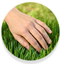 WOW Skin Science Hand Cream Keeps hands looking younger
