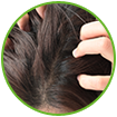 Onion Hair Oil For Scalp - boosting hair regrowth
