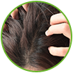 WOW Skin Science Onion Black Seed Hair Oil that boosting hair regrowth